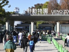 【速報】マスコミ「日本でパンダに会えなくなる！ ファミリー層を全て敵に回した高市首相は辞任すべき！」