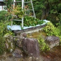 植木刈り