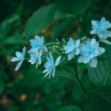 『お客様のアカウントが利用されています～即パスワード変更』の画像