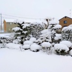 『シーン・ホーム・ファクトリー』リフォーム日記＾0＾