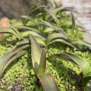 第二段階、終了♪