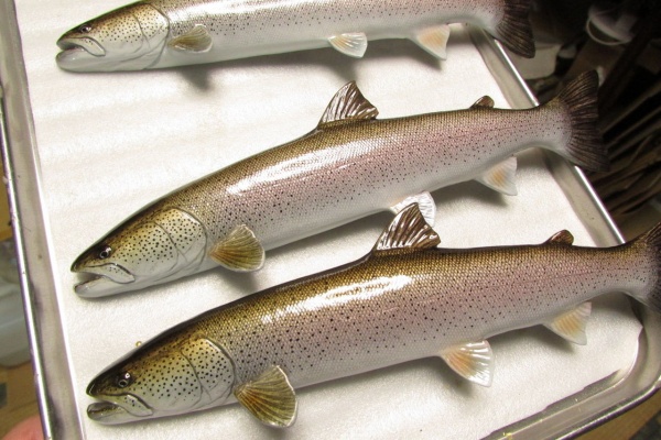 【美品】46cm イトウ(樹脂製)fish craft REAL製作 魚の模型制作しています。 fish craft REAL - 2018年02月