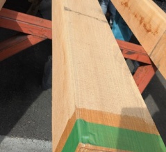 2月の釣果　その4