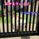親知らず抜歯！