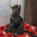 　凄く嬉しそうに咬んでるね