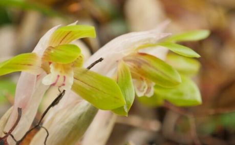 おでかけしましょう！