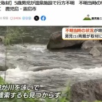鳶の羽