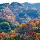 奈良の秘境、吉野山での紅葉