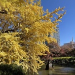 弁護士川井信之のビジネス・ロー（企業法務）・ノート