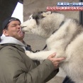 【世界陸上】織田裕二の後任見つけたんやが…