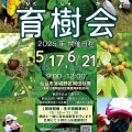 2025年　育樹会開催のご案内