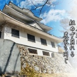 『進まぬ少子化対策』の画像