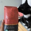 日本のアイスコーヒーが恋しい今日この頃