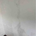 壁紙