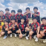 『昨日のジュニア』の画像