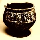 ハムスターは元々土の中に巣を作る生き物 土飼育している人いますか 生物ちゃんねる