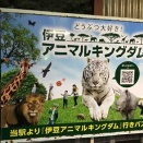 シロップファミリー、そしてアニキン、また会う日まで～初めての伊豆アニマルキングダムDay2-25