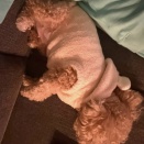 IT'S YOU & U（You）　2025.12.28