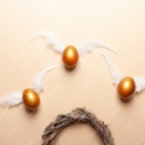 天使の卵を恵に