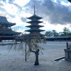 健康新幹線運行状況