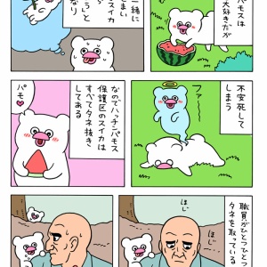 絶滅寸前の動物ハッチンパモス「パモラ」 : キューライス記 Powered by
