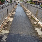 とんだあたいのやさぐれ日記