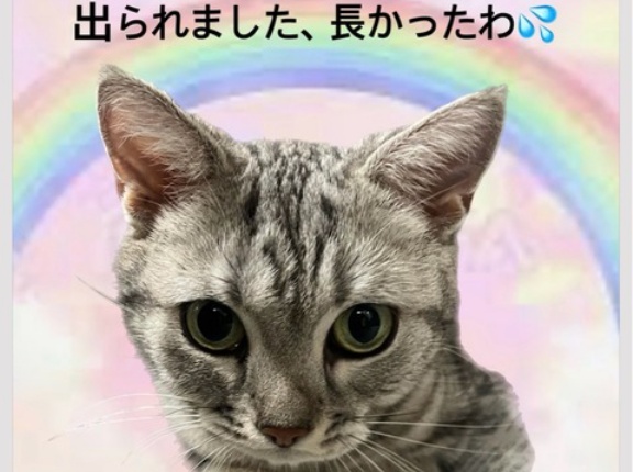 ICUに4年半、、、セリーヌが自由になれました💓