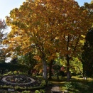 令和7年10月30日 弘前公園“今日の紅葉”