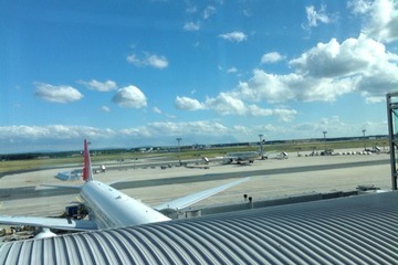 AF275便のフライトキャンセル