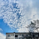 捨てて 直して よみがえる ／ 実家整え