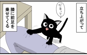 賢さに気付くと愛しさ倍増する