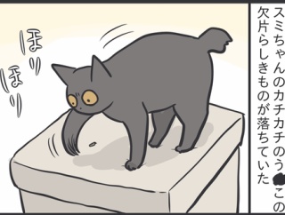 大事なことを忘れちゃった猫