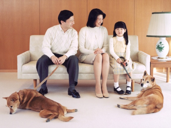 🐶動物って正直よね～✨