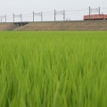 東武鉄道 ありがとう8500型8577編成ツアー その1 2025/07/05