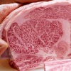 【悲報】「お肉券」「お魚券」構想頓挫