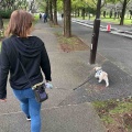 愛犬と一緒に舎人公園でピクニック。*\(^o^)/*