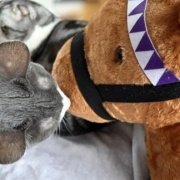 ドウデュースのぬいぐるみを見た猫がしたこと