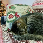 だいじろう日和。