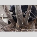 オレ流取りまとめニュース速報