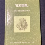 石になる地のふしぎ