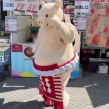 『[イコラブ] 矢場とんのぶーちゃん「とくべチュ、して」踊ってるw』の画像