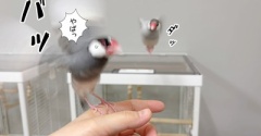 完全なるストーカーです