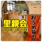 青梅ニャンだふる☆Life