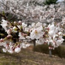 【韓国生活】2ヶ月が経とうとしています🇰🇷