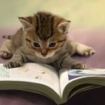 読書中、頭の中で「声」が聞こえる人 挙手！！