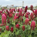 仕事が減る４月ですが家で平日からのんびりしていると「ハッ！サボリ怒られる！」いまだに頭をよぎる。。。今は個人事業主なのに（笑）