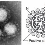 OFFROAD×HUNTERの日記