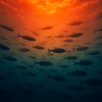  釣果で証明する釣りの理論 ── 私が思うところ。