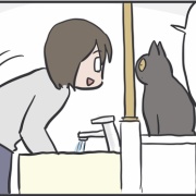 めずらしい猫パンチ