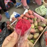 海外路上のマグロめし。